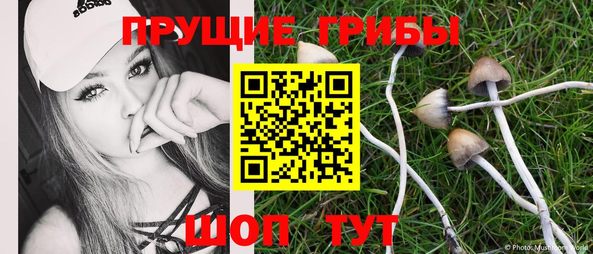 Галлюциногенные грибы Magic Shrooms  Галлюциногенные грибы MAGIC MUSHROOMS  Вход с VPN  Менделеевск 